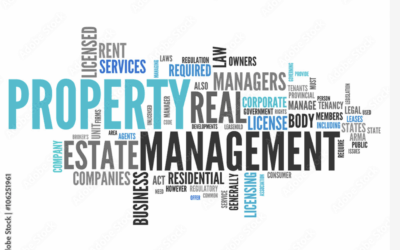 My Life Running a Charleston Property Management Company